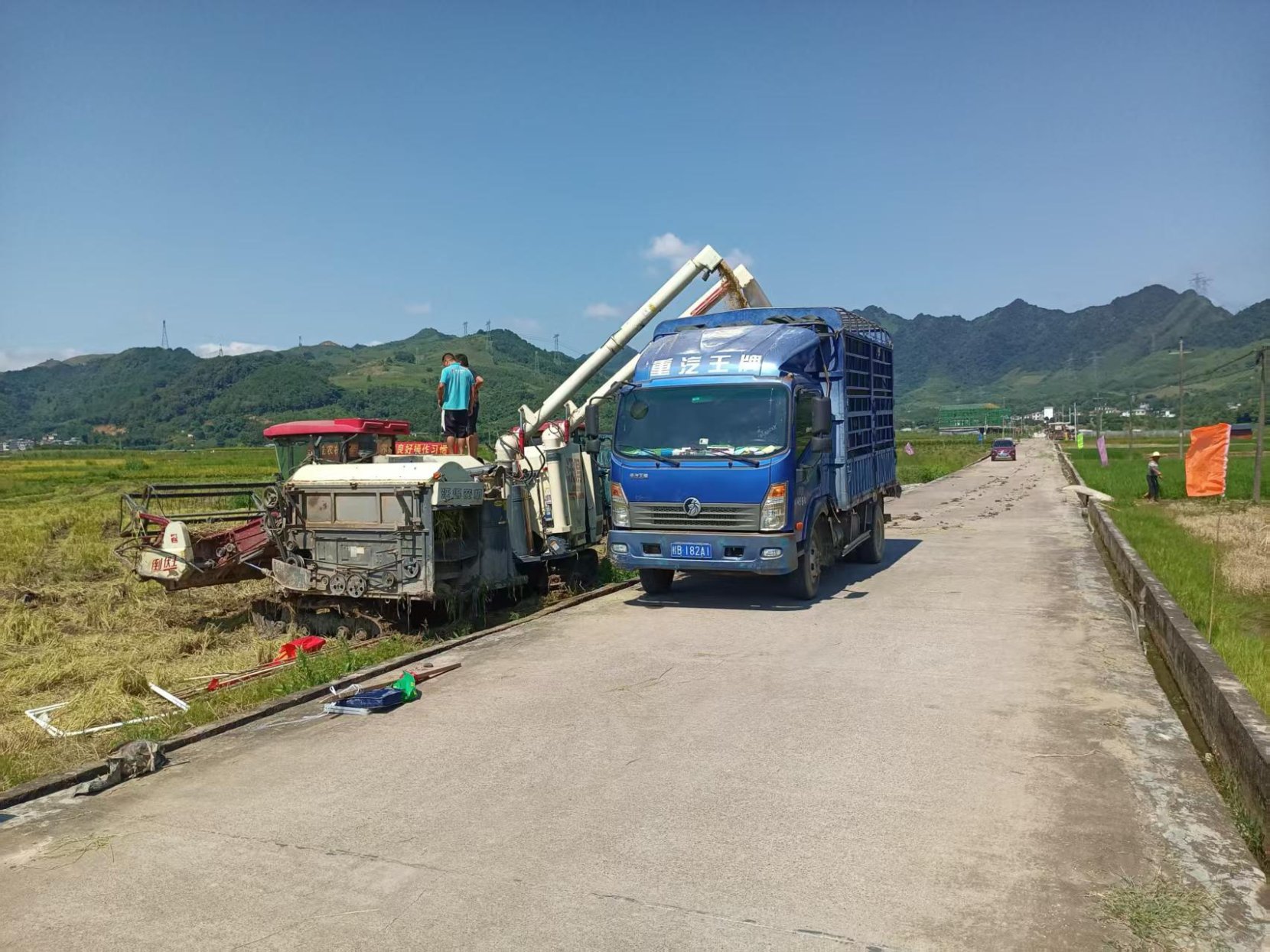 桂林荔浦修仁镇：稻谷生产加工全程机械化 智能化赋能农业新质生产力(图2)